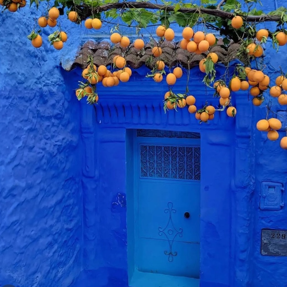 Meet your Posher, Shanti